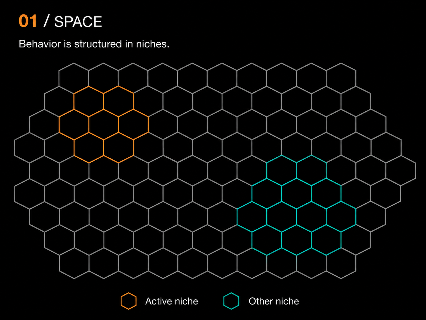 Space: behavior is structured in niches across a hexagonal locality field.